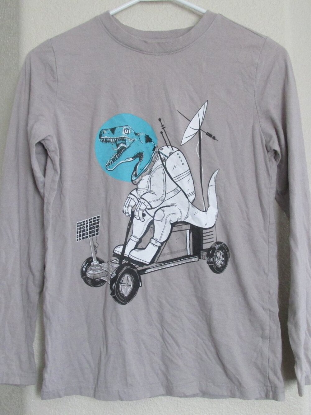 Cat & Jack Pullover Dinosaur T Shirt Youth Boys L 12/14 Gray Long Sleeve Crew